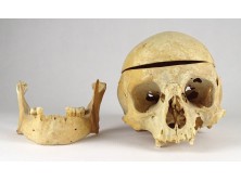 Szabadkőműves jelkép MEMENTO MORI emberi koponya