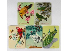 Gyönyörű különleges kínai kártyanaptár 1977 5 darab