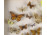 Pillangó lepke preparátum 40 darabos gyűjtemény keretben 39 x 8 x 60 cm
