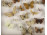 Pillangó lepke preparátum 40 darabos gyűjtemény keretben 39 x 8 x 60 cm