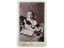 Hollenzer és Okos műterme : Antik csecsemő fotográfia ~ 1900