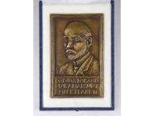 XX. századi művész : Eötvös Loránd bronz plakett