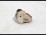 Antik óherendi kínai mintás mini hal