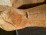 Antik extra nagyméretű szalmás mackó 1 m