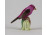 Régi Herendi mini porcelán kardinál madár figura 5.3 cm