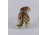 Royal Dux porcelán tigris szobor 19 cm