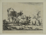 Tehenek
