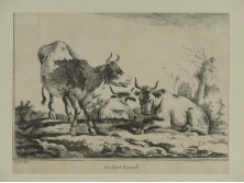 Tehenek