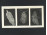 "Bogarak"