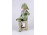 Régi német porcelán széken ülő barokk férfi figura 22 cm