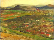 Dunamenti falu 1953