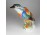 Herendi madár jégmadár porcelán figura 21 cm